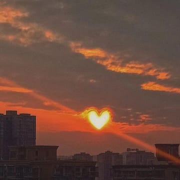 Hỗ trợ viên